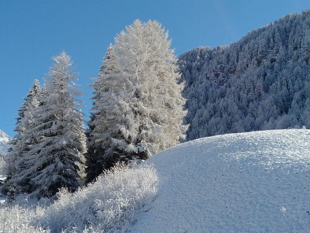 Hotel Garni Waltoy Selva di Val Gardena Esterno foto